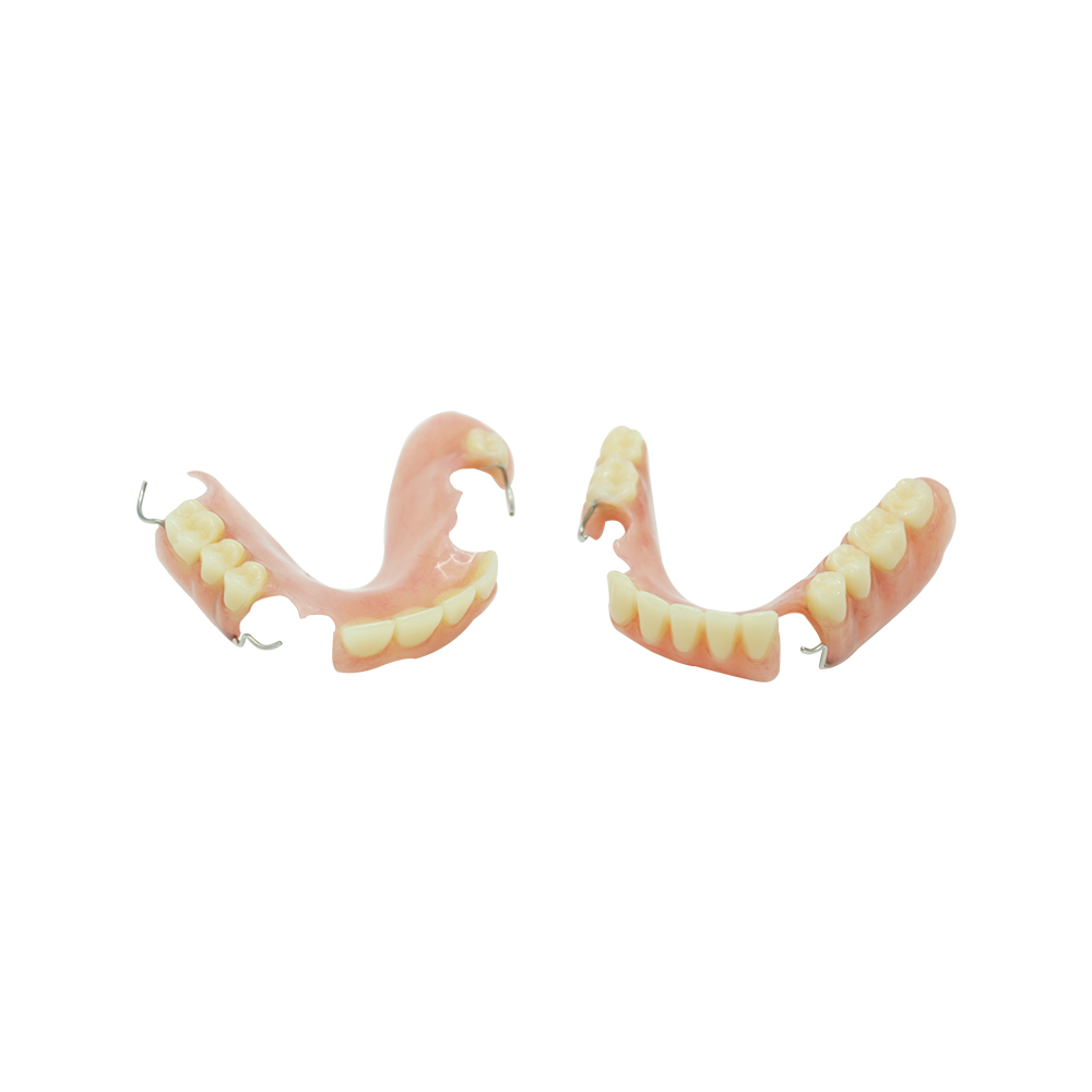 Valplast Bridge Denture
